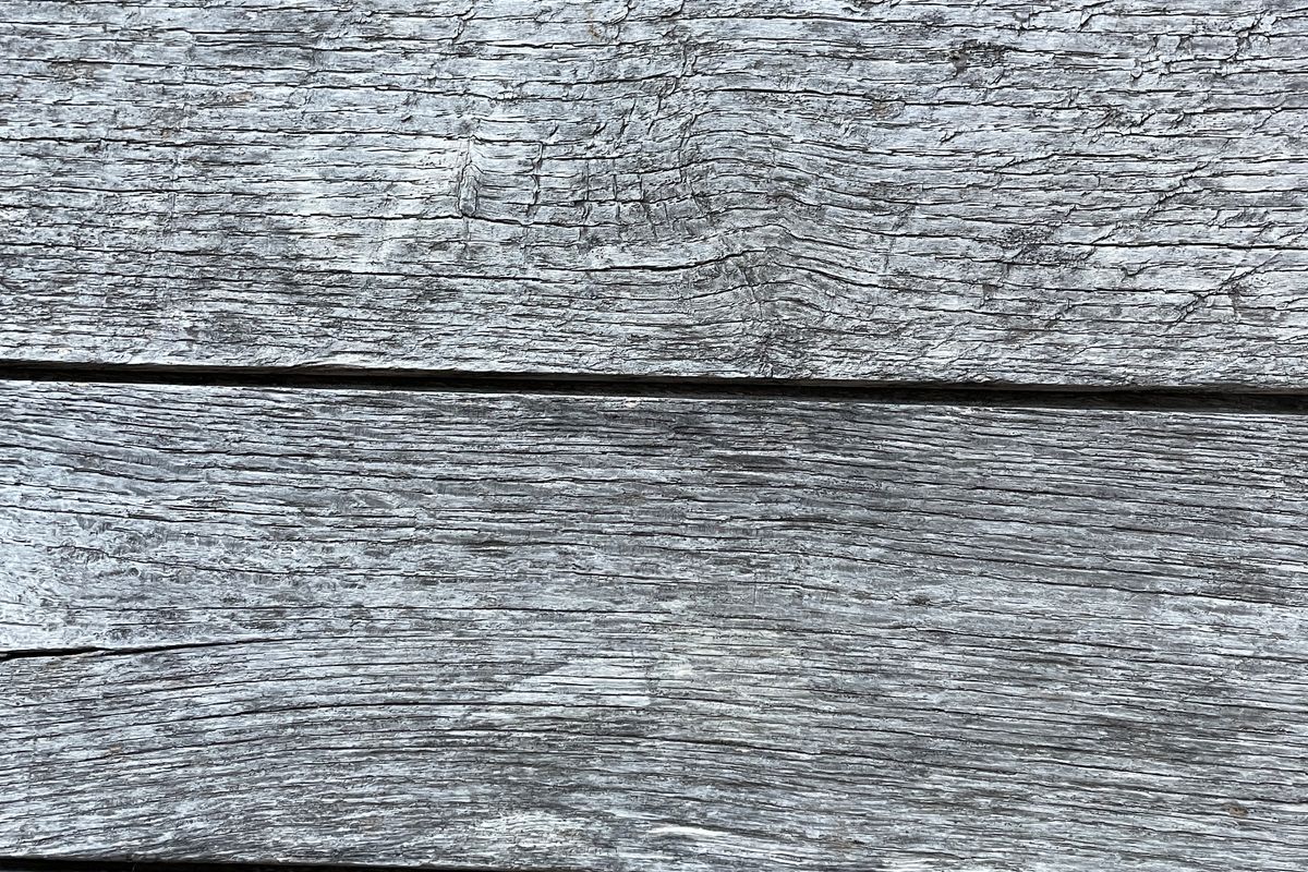 Gros plan de lames de bois grisées en surface par les UV et l'humidité, fibres argentées avant dégrisage