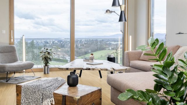 Quels sont les différents types de parquet ? le guide complet